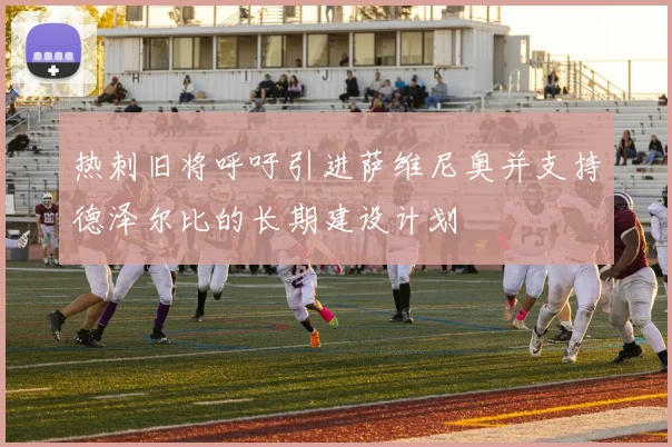 热刺旧将呼吁引进萨维尼奥并支持德泽尔比的长期建设计划