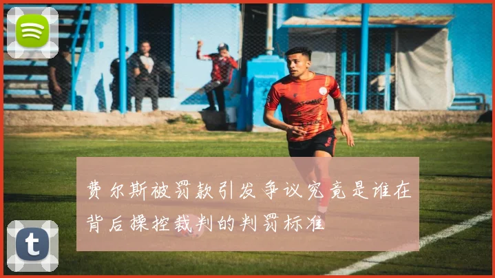 费尔斯被罚款引发争议究竟是谁在背后操控裁判的判罚标准