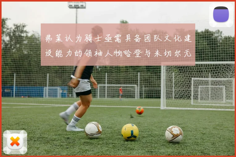 弗莱认为骑士亟需具备团队文化建设能力的领袖人物哈登与米切尔无法胜任